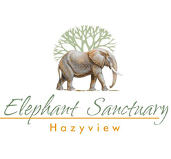 Elephant Sanctuary - Hazyview